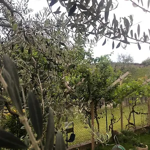 Bardolino,lago Di Garda, Appartamento,vacanze Bardolino